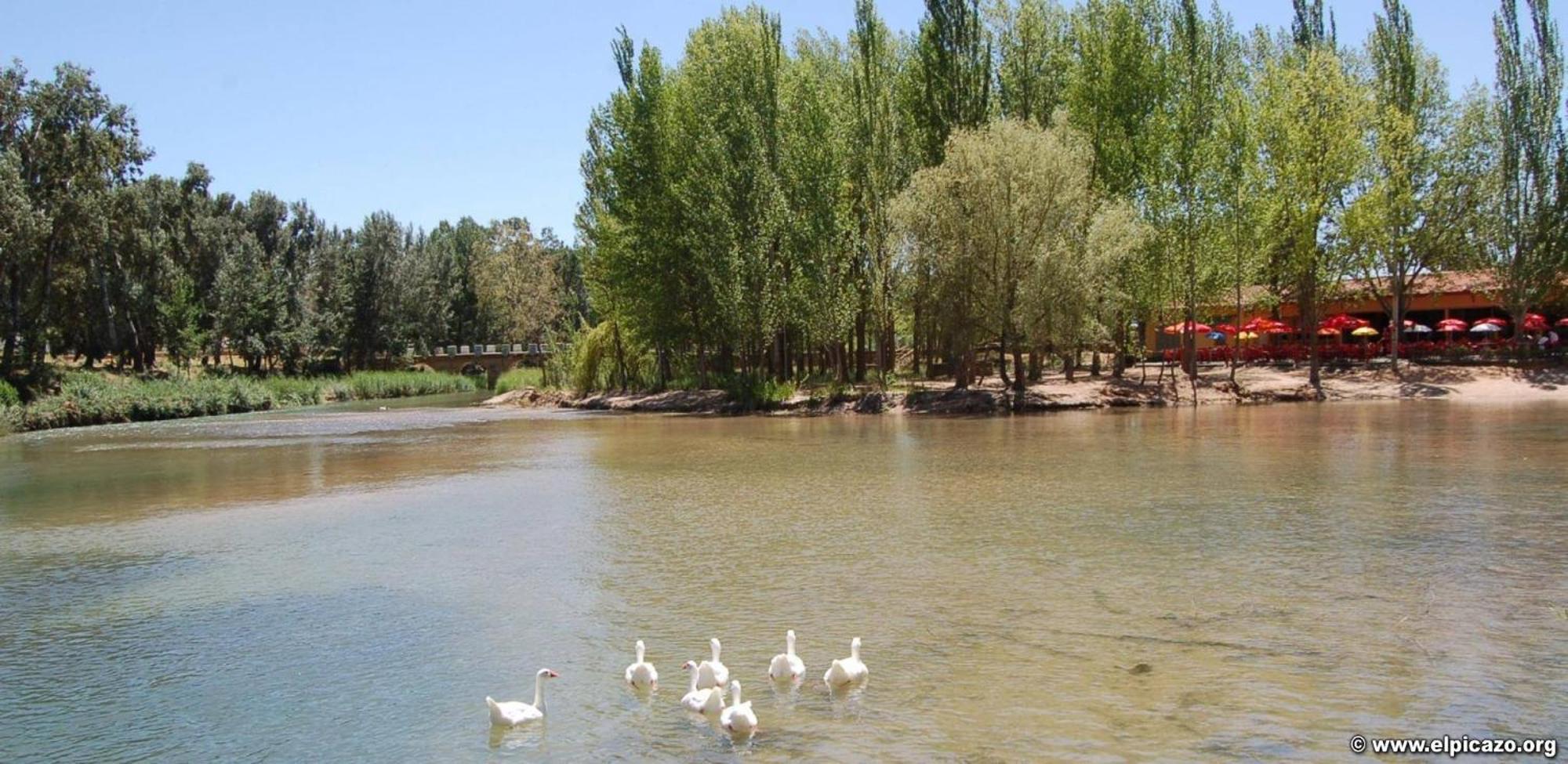 Casa Rural Las Tejas El Picazo Eksteriør billede
